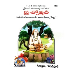 Prashnottari-ManiratnaMala and Sadhna Panchkam, Telugu