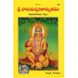 Hanumatcharitamritam, Telugu